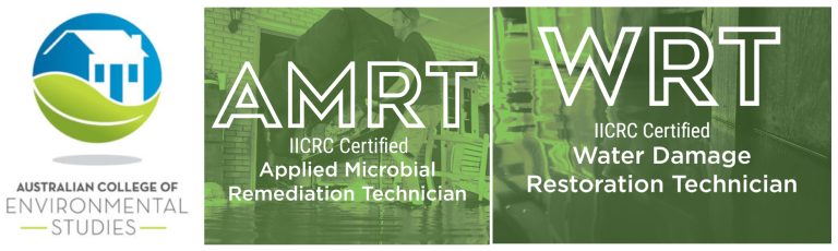 Mister Mould IICRC Certified