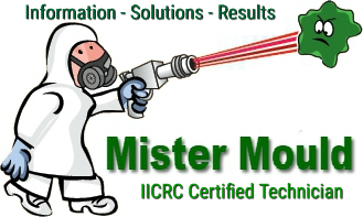 Mister Mould